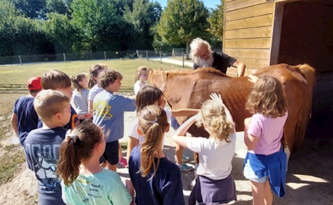 Teamadventure NATUURlijk